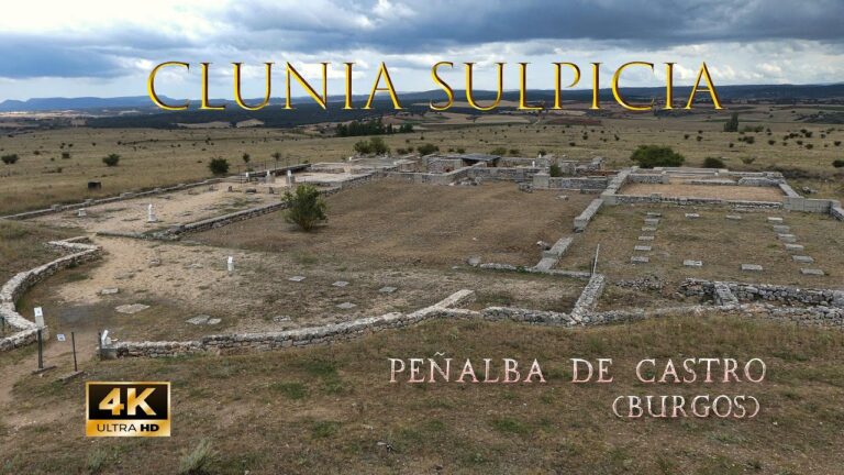 Zonas m&aacute;s arboladas en Mod&uacute;bar de la Emparedada